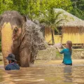Visit Green Elephant Sanctuary Park