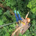 Zip Line Adventure over the Rainforests
