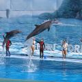 Thailand Family Tour Package - 5 Nights 6 Days Pattaya, Bangkok, Safari World & Dinner Cruise
