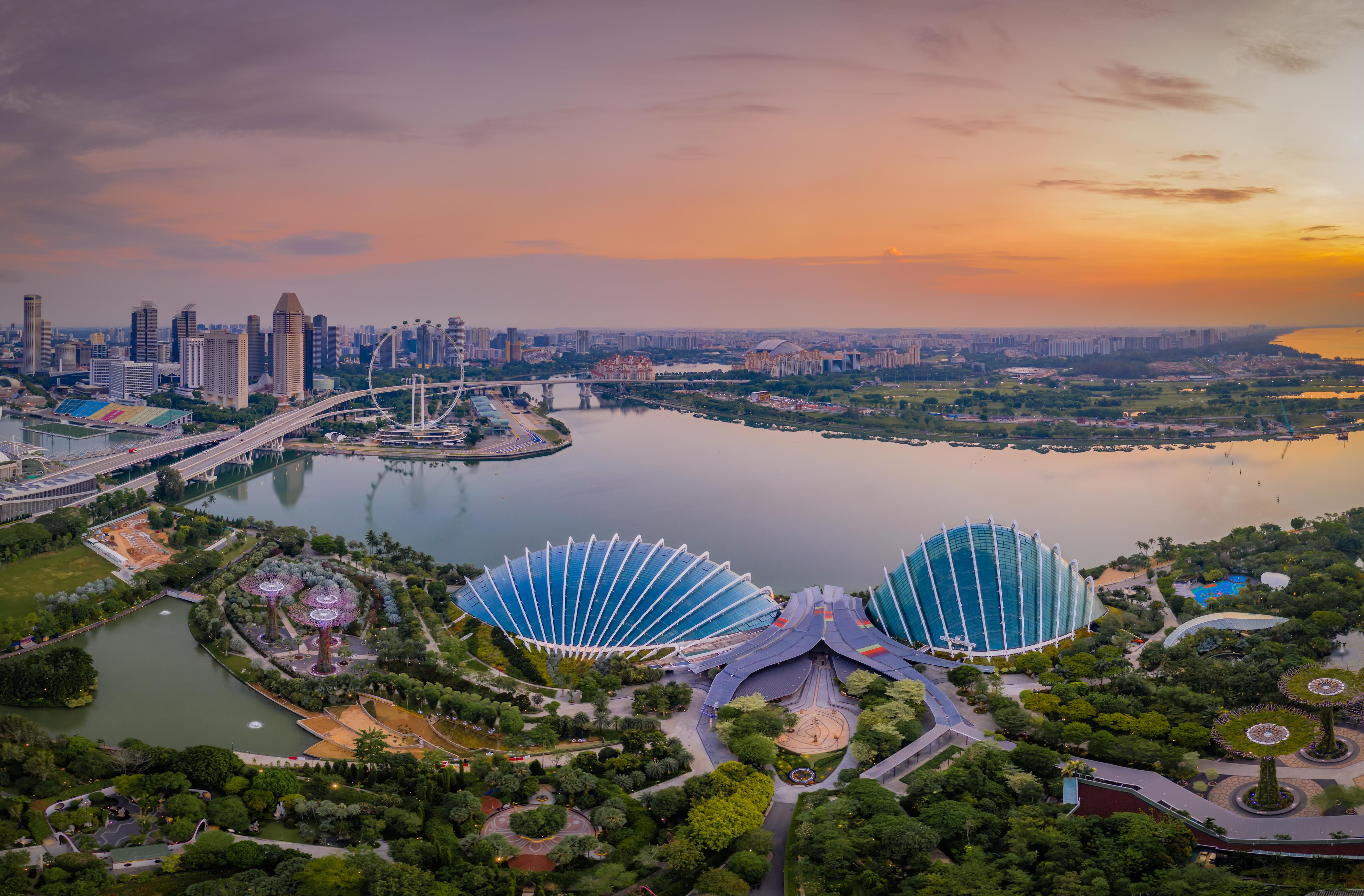 Singapore Zoo & Night Safari Adventure