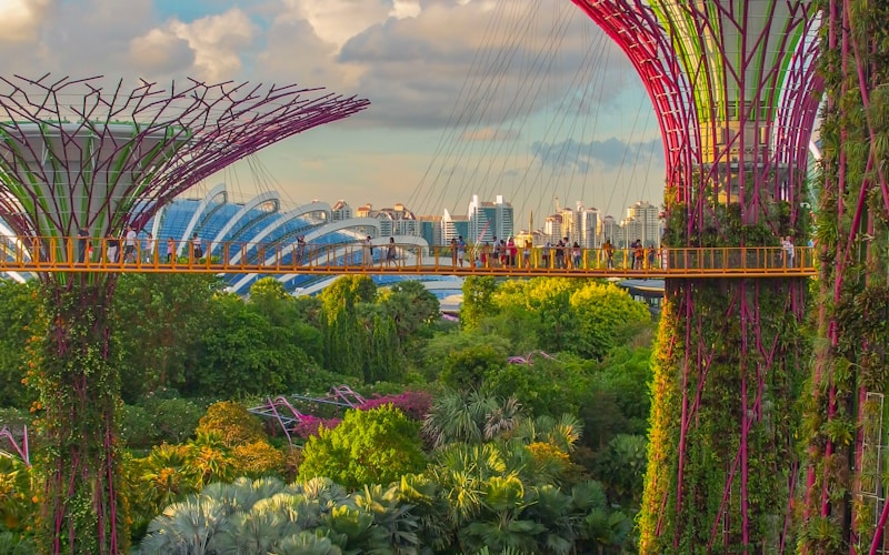 Gardens by the Bay & Flight to Kuala Lumpur