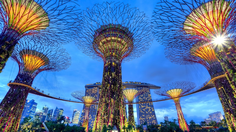 Singapore City Tour & Gardens by the Bay