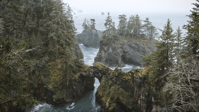 Singapore to Kuala Lumpur by Coach