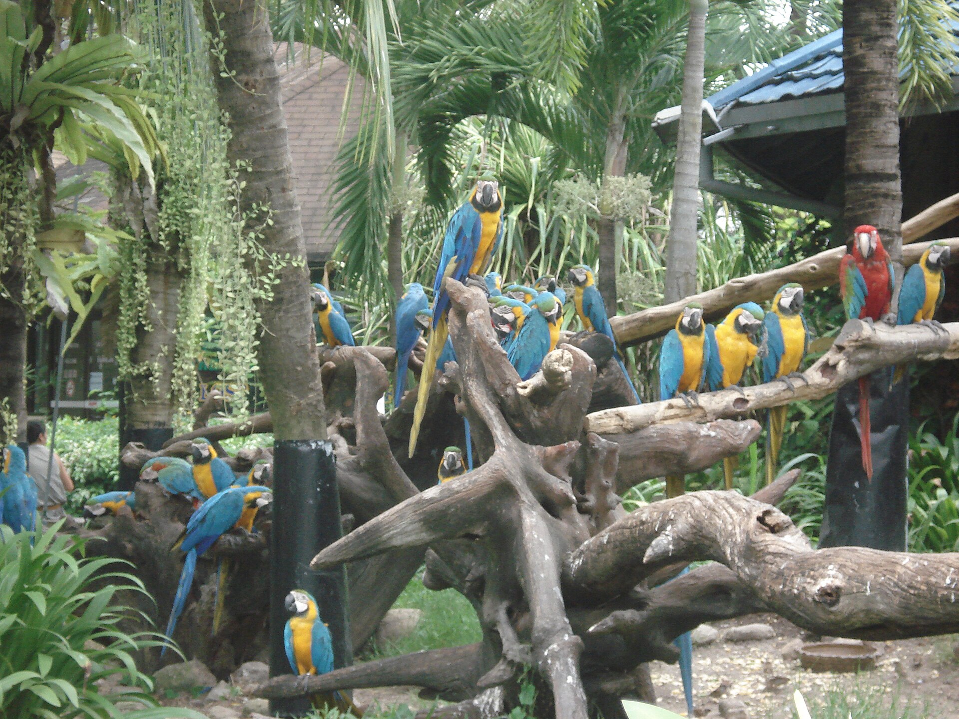 Safari World and Marine Park