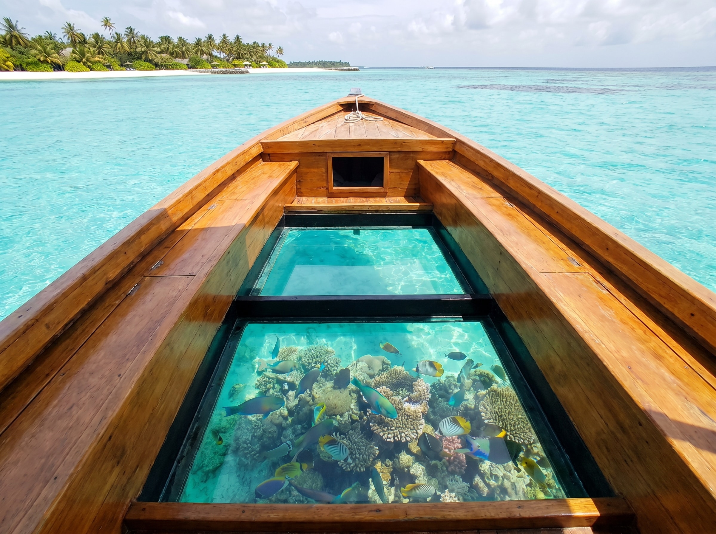 Glass-Bottom Boat & Coral Garden
