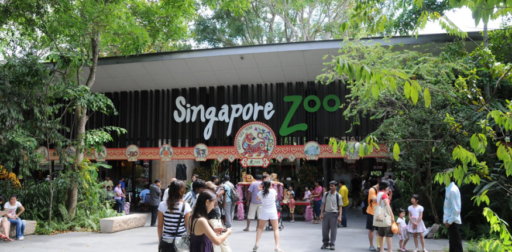 Entrance of Singapore Zoo with visitors gathered around the main gate, surrounded by lush greenery. best place to visit in Singapore