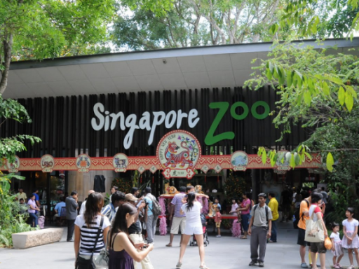 Entrance of Singapore Zoo with visitors gathered around the main gate, surrounded by lush greenery. best place to visit in Singapore