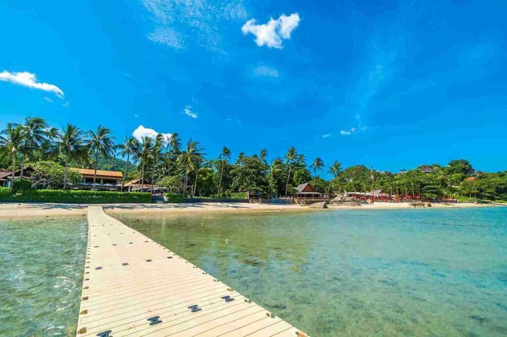 <a href="https://www.freepik.com/free-photo/beautiful-tropical-beach-sea-sand-with-coconut-palm-tree-blue-sky-white-cloud_4188185.htm#fromView=search&page=1&position=14&uuid=84e640b5-6b1c-4785-bf18-0a7913618a24">Image by lifeforstock on Freepik</a>
Singapore tour package