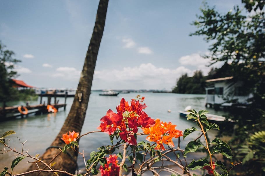 Pulau Ubin, Best Hidden Gems to Explore in Singapore