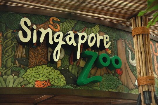 Zoo Safari
10 things to do on Singapore tour