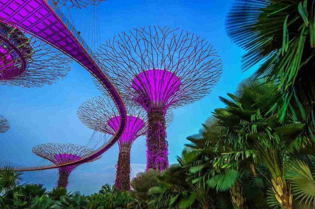 Singapore Tour Package For Honeymooners
Gardens by the Bay