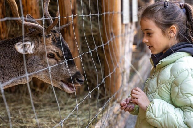 A little girl feeding a deer at Almaty Zoo, a family-friendly activity to enjoy while you explore Almaty with your family