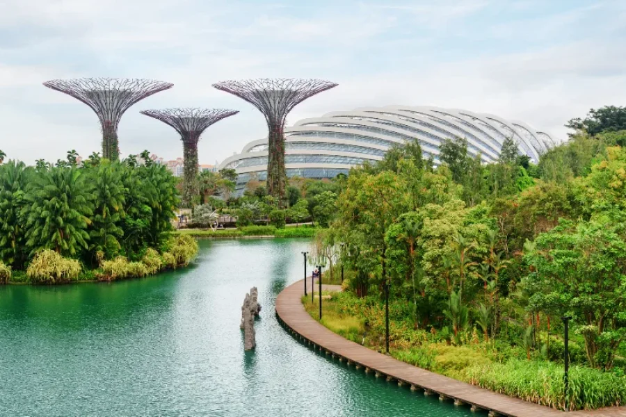 Experience the mesmerizing Singapore in 4N/5D with a visit to Gardens by the Bay, featuring the stunning Supertree Grove and Cloud Forest.