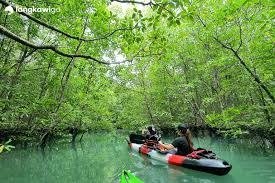 Day 3: Mangrove Tour